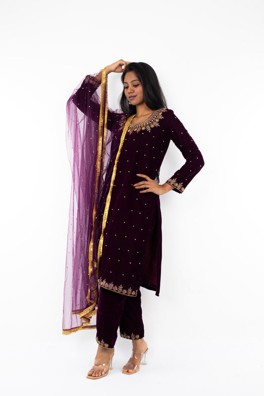 Embroidered Velvet Punjabi Suit